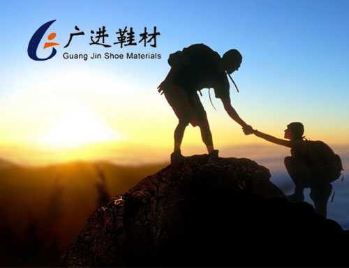 東莞廣進鞋材貼合廠網站設計與開發
